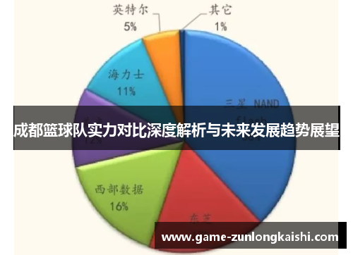 成都篮球队实力对比深度解析与未来发展趋势展望